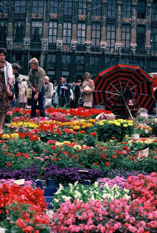 Selling flowers at the Grand Place