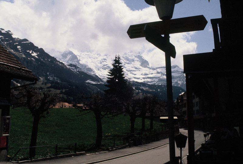 Which trail to the Jungfrau?