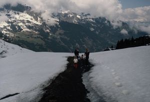 Brendan, Alyssa, Sue and Vovo hiking at Kleine Scheidegg