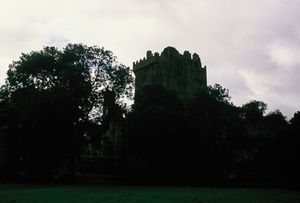 Castle near Limerick