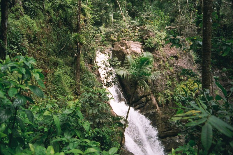 More falls in the El Junque Rain Forest