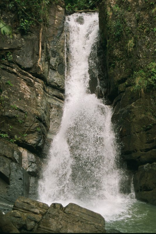 Mina Falls in the El Junque Rain Forest