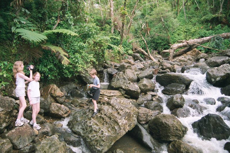 Tamara, Rosanna, and WIll in the El Junque Rain Forest