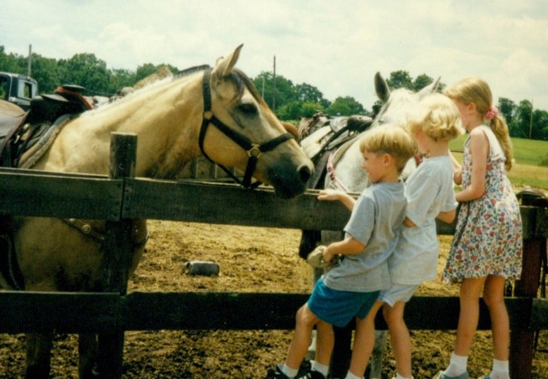 Will, Rosanna, and Tamara meeting their horses