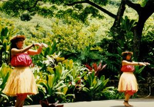 Hula dancers at the Polynesian Cultural Center