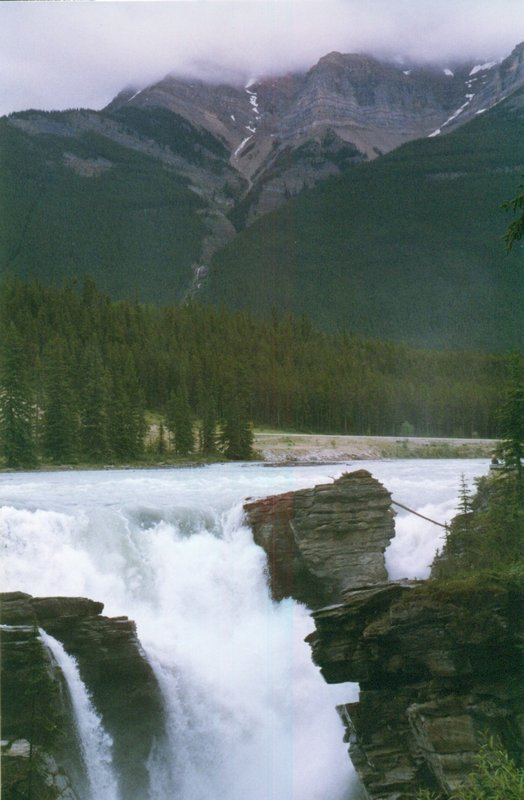 Athabaska Falls in Jasper National Park