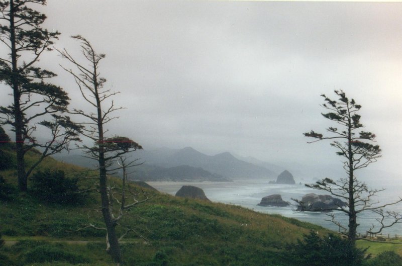 Ecola State Park on the Oregon Pacific Coast