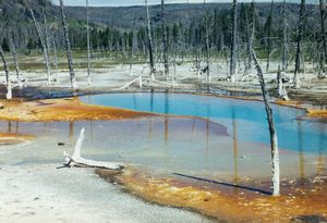 Thermal pools at Yellowstone National Park