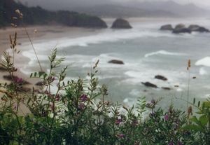 Ecola State Park
