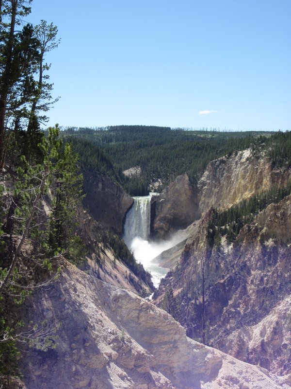Grand Canyon of the Yellowstone with the Lower Falls