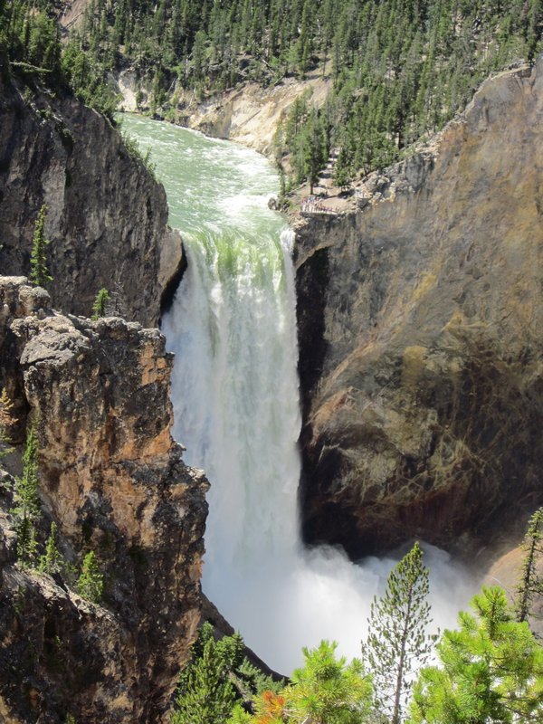 Lower Falls of the Grand Canyon of the Yellowstone