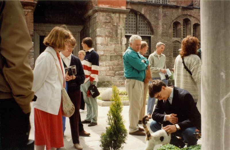 Linda wathcing Dennis pet a cat in the courtyard of the Blue Mosque in Istanbul