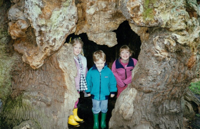 Rosanna, Will, and Tamara in trunk of tree in Sherwood Forest