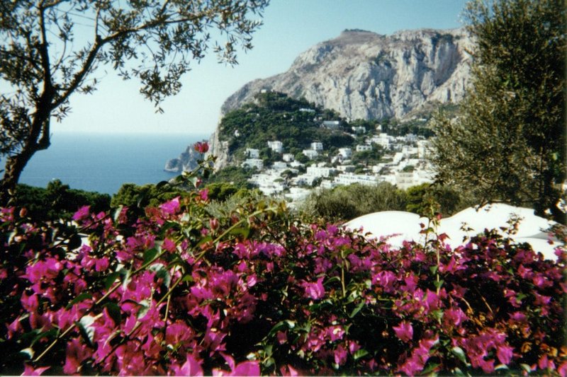 Gardens on the walk from Capri town to Villa Jovis on Capri