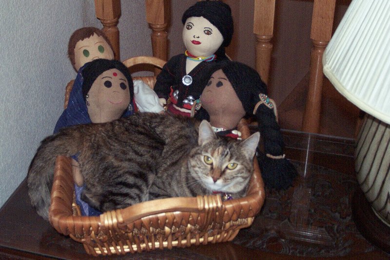 Our cat Lorna among Linda's doll collection