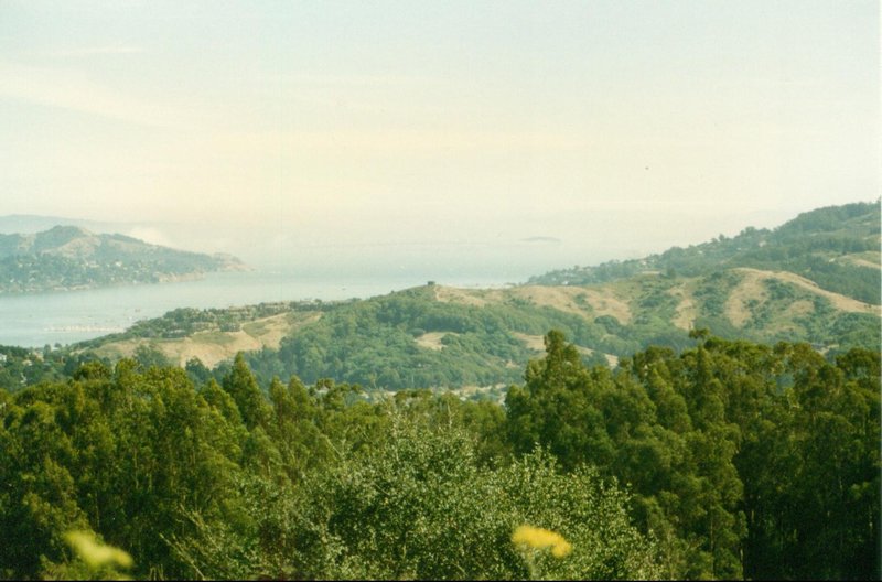 View of the Bay from Marin County