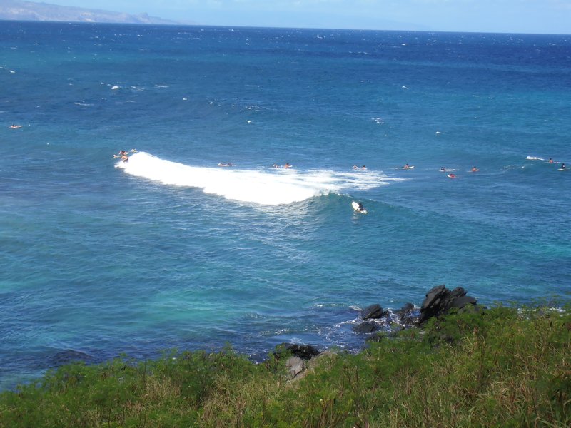 40 Surfing at Lahaina, Maui