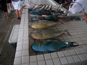 87 Colorful fish at the fish market
