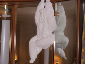 150 Towel monkey in our stateroom