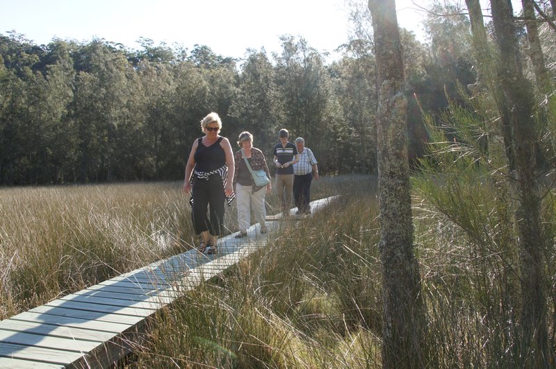Trek with Denise, Linda, Will, and Bob crossing a swamp  (Courtesy of Dancing Dave)
