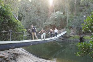 Trek with Will, Linda, Denise, and Bob on swinging bridge  (Courtesy of Dancing Dave)