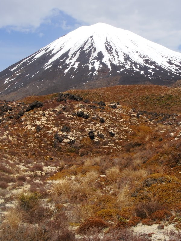 Tongariro National Park with Mount Tongariro (otherwise known as Mount Doom from the Lord of the Rings