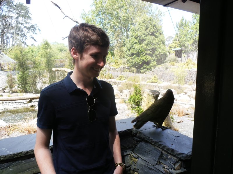 Auckland Zoo with Will and a cheeky Kea