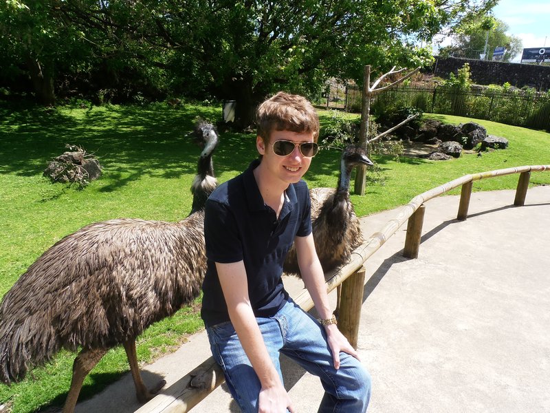 Auckland Zoo with Will and emus
