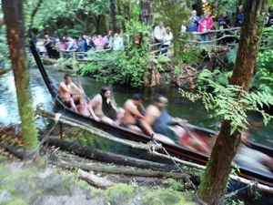 Maori warriors arrive in a canoe in Rotorua