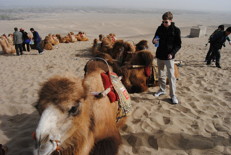 Will checcking out the camels during the rest stop.