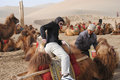 Will climbing on his camel