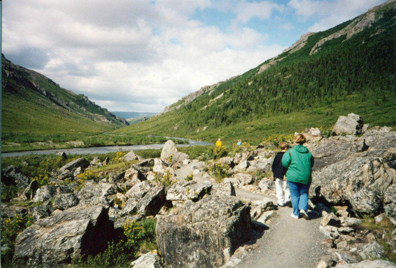 Alaska - hiking a Danali trail