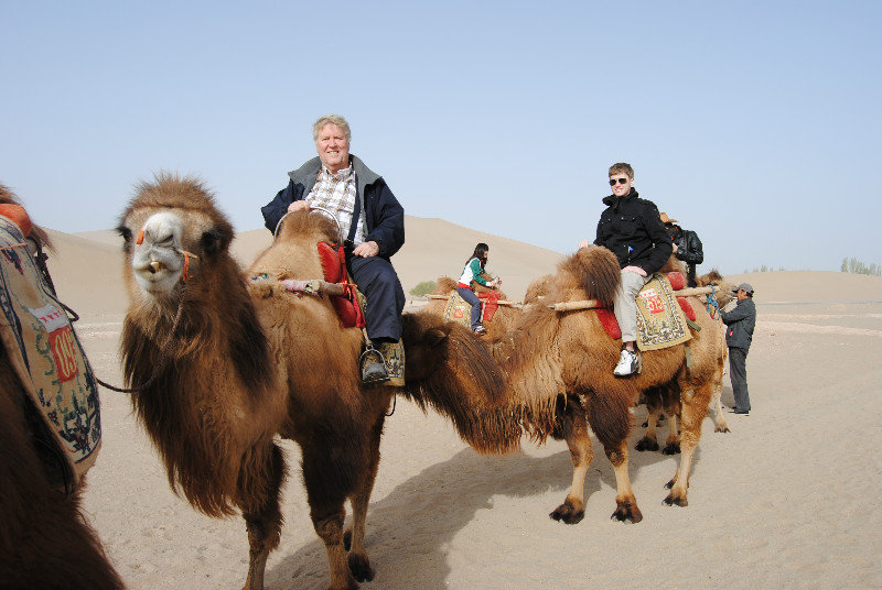 Dunhuang - riding camels in the dunes