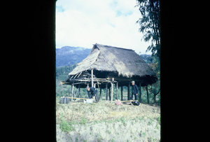 Thailand - the rice shack