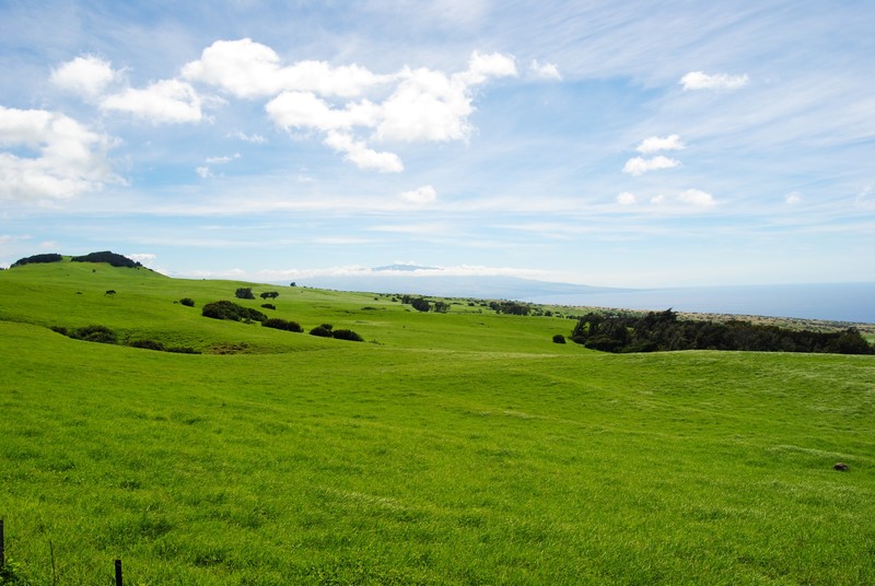 Ranch country near Waimea on North Kohala Coast