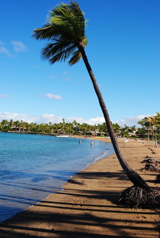 Anaeho'omalu (otherwise known as A) Beach near our resort