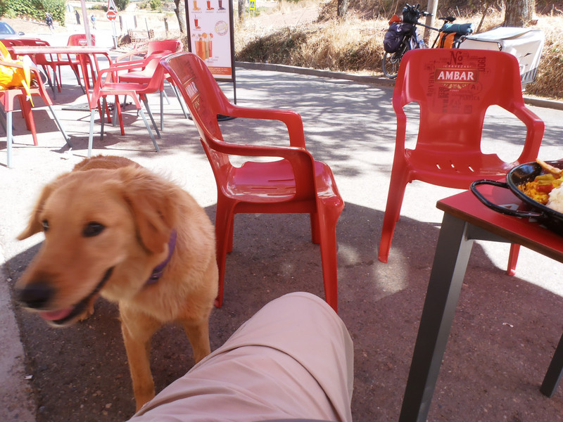 Lunch in Ventosa - the dog wanted my paella - the owner didn´t want me to share