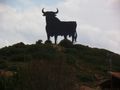 Bull on a hill - common sight in Spain