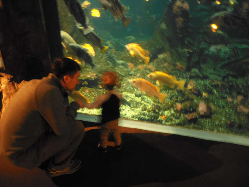 Evan and Connor at Vancouver Aquarium