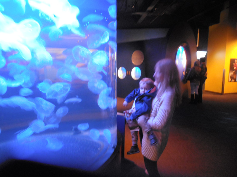Rosanna and Connor at the Vancouver Aquarium