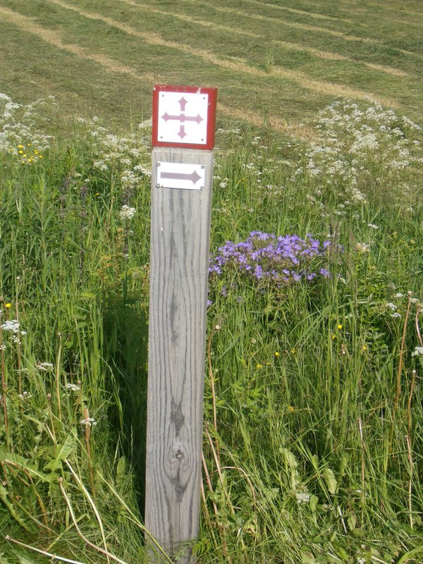 Marker for the St. Olavsleden