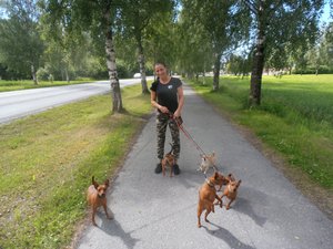 Meeting Helen and her dogs on the way to Verdal