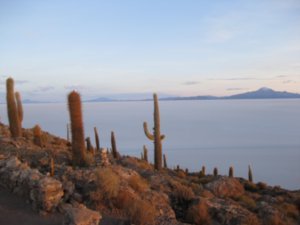 Day 3 - Cactus Island and the Salt Flats 