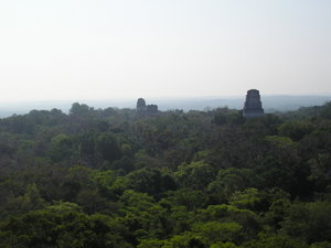 Tikal - View from temple IV