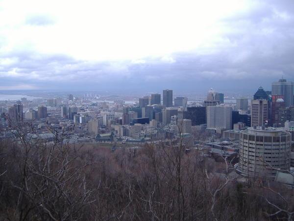 The Montreal Skyline