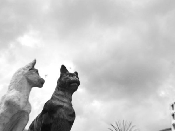 cats statue