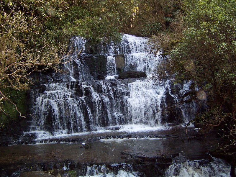 Purakaunui Falls, Catlins (3)