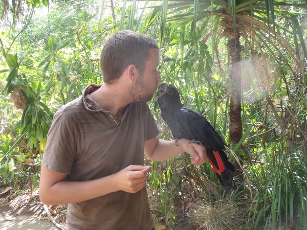 John kissing a black cockatoo