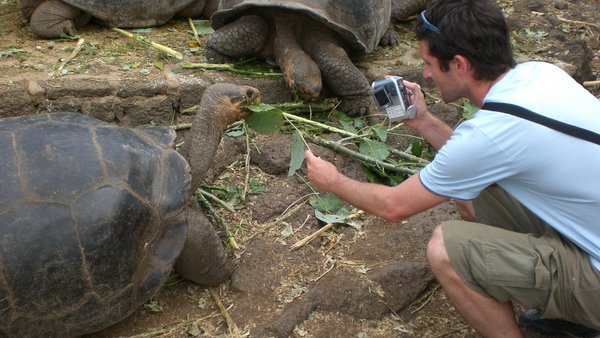 Joey feeds a giant tortoise