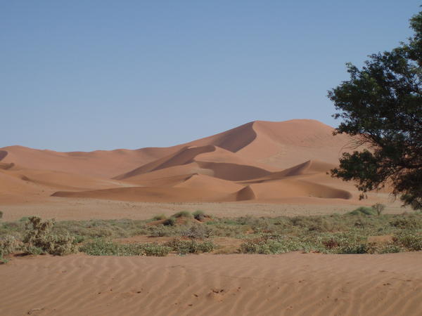 Dunes around Sossusvlei